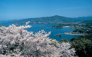 湯の児海岸